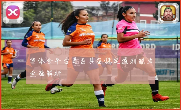 华体会平台是否具备稳定盈利能力全面解析