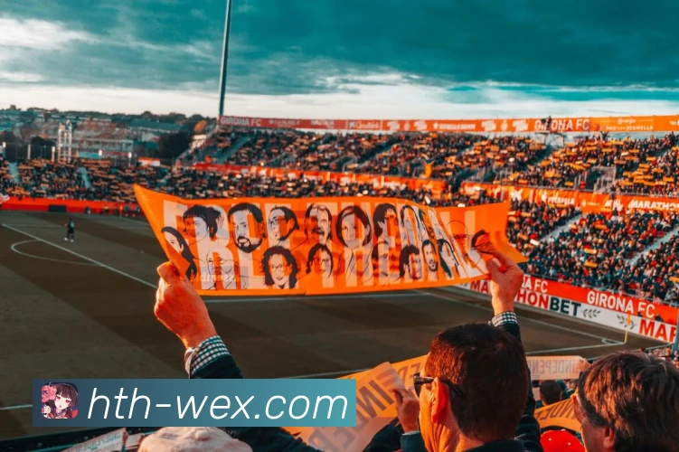 华体会官网全站App